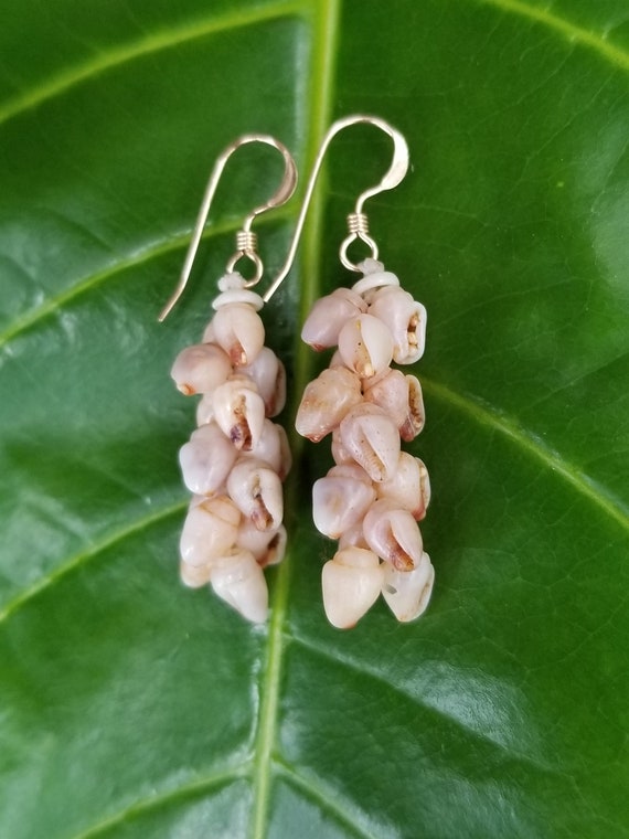 Shell Earrings Kauai Shell Earrings Hawaiian Shell Earring Traditional Weave Momi Shells Kahelelani Shells Kauai Beach Shell Hawaiian Shells