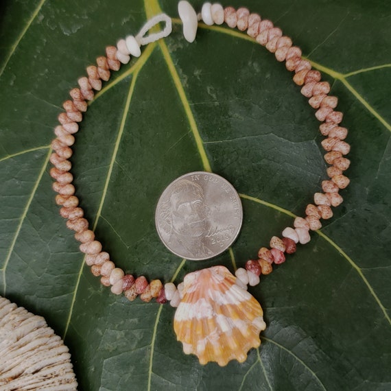Sunrise Shell Bracelet Shell Bracelet Puka Shell Jewelry Natural Shell Bracelet Kahelelani Shell Jewelry Kauai Sunrise Shells Sunrise Shell