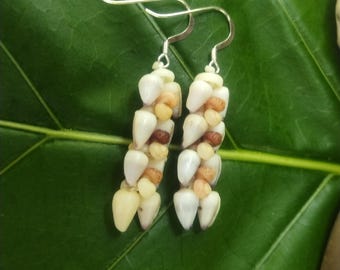 Kahelelani Shell Earrings: Dwarf Cone Shells, Kahelelani Shells, Puka Shells, Sterling Silver, Rare Shells, Hawaiian Rare Shells