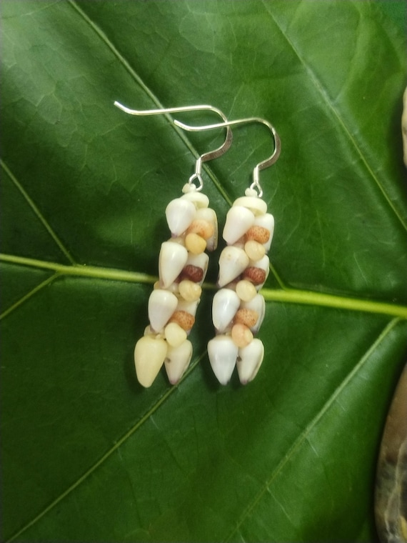 Shell Earrings Kahelelani Shell Earrings Hawaiian Shell Jewelry Kauai Eco Friendly Collected Kauai Shells Island Jewelry Beach Earrings