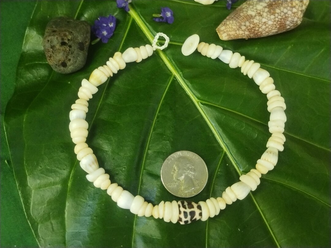 Kauai Puka Shell Anklet: Hawaiian Beach Jewelry, Hebrew Cone Shell ...