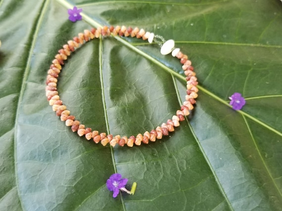 Kahelelani shell Bracelet Sea Shell Bracelet Kauai Shell Jewelry Eco Friendly Natural Shell Bracelet Kauai Kahelelani Shells Hawaiian Shells