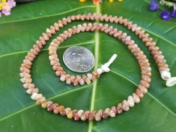 Shell Jewelry Shell Necklace Shell Lei Rare Shells Puka Shell Jewelry Shells Kauai Shell Necklace Hawaii Shell Jewelry Kahelelani Shell Lei