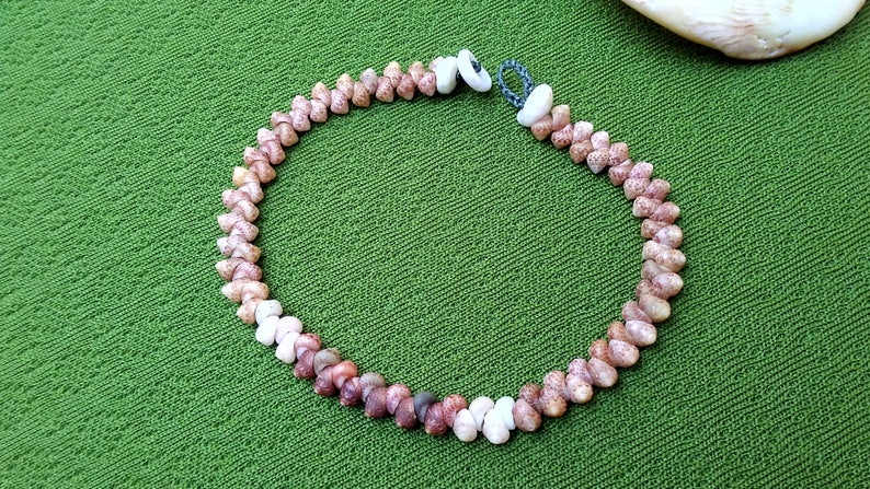 Shell Jewelry Nautical Eco Friendly Rare Seashell Bracelet Kauai Beach Island Seashell Bracelet Hawaii Hawaii Bracelet Rare Shells