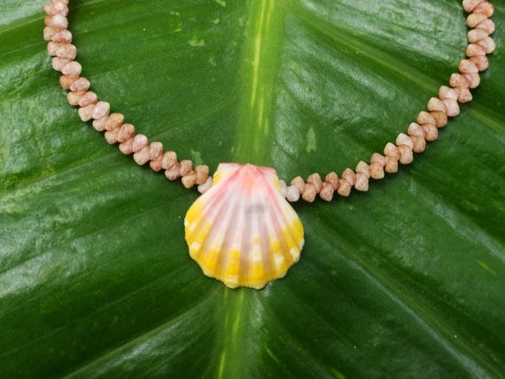 Sunrise Shell Anklet: 9.' inch, Puka Shell Clasp, Kahelelani Shells, Natural Shell Jewelry, Hawaiian Jewelry