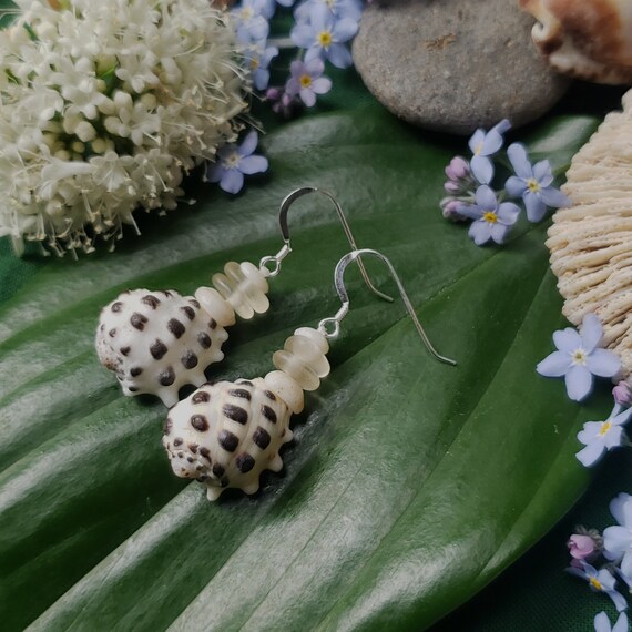 Shell Earrings Puka Shell Earrings Hawaiian Shell Jewelry Kauai Shells Eco Friendly Collected Shells Kauai Shells Seaglass Earrings Seaglass