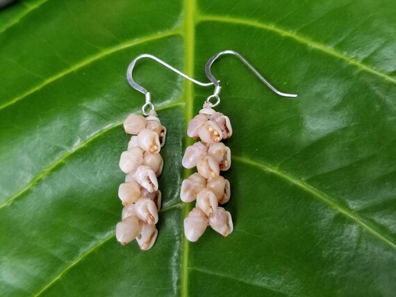 Shell Earrings Kauai Shell Earrings Hawaiian Shell Earring Momi Shells Kahelelani Shells Kauai Beach Shell Hawaii Shell Kauai Ni'ihau Shell