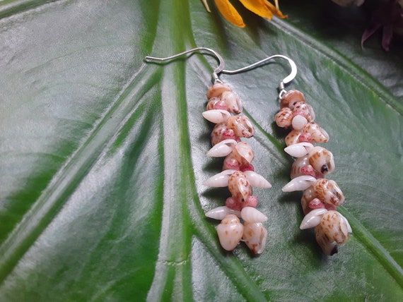 Momi Shell Earrings Kauai Momi Shell Earrings Hawaiian Shell Earrings Pikake Traditional Weave Rare Momi Kahelelani Shells from Kauai Shells