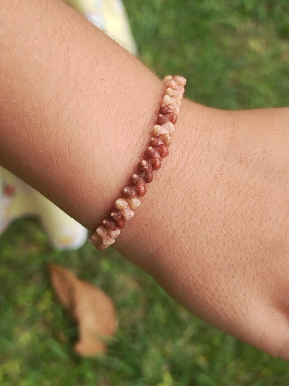Kauai Kahelelani Shell Bracelet: Kahelelani Shells, Puka Shells, Keiki Bracelet, Child Size Hawaiian Bracelet, Shell Jewelry