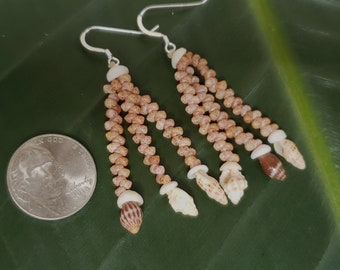 Kahelelani Shell Shell Earrings Puka Shell Earrings Hawaii Shell Jewelry Island Earrings Niihau Shell Niihau Shell Earrings Kahelelani Shell