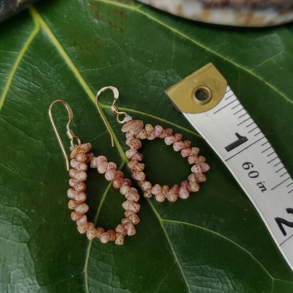 Seashell Earrings Kauai Kahelelani Earrings Hoop Earrings Authentic Kauai Kahalelani Shells Jewelry Hoop Earrings Kahelelani Niihau Shell