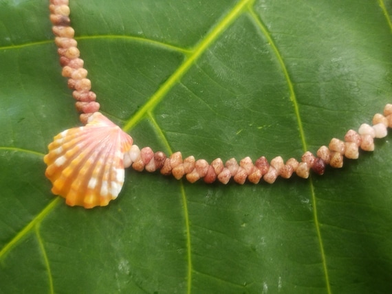 Sunrise Shell Lei: Kauai Kahelelani Shells, Sunrise Shell, Puka Shells, Hawaii Shells Beach Jewelry, Eco-Friendly Collected Rare Shells