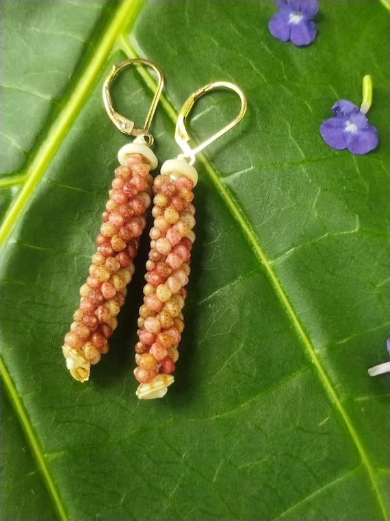 Shell Earrings Kahelelani Shell Earrings Hawaiian Shell Jewelry Kauai Eco Friendly Collected Kauai Shells Island Jewelry Beach Earrings