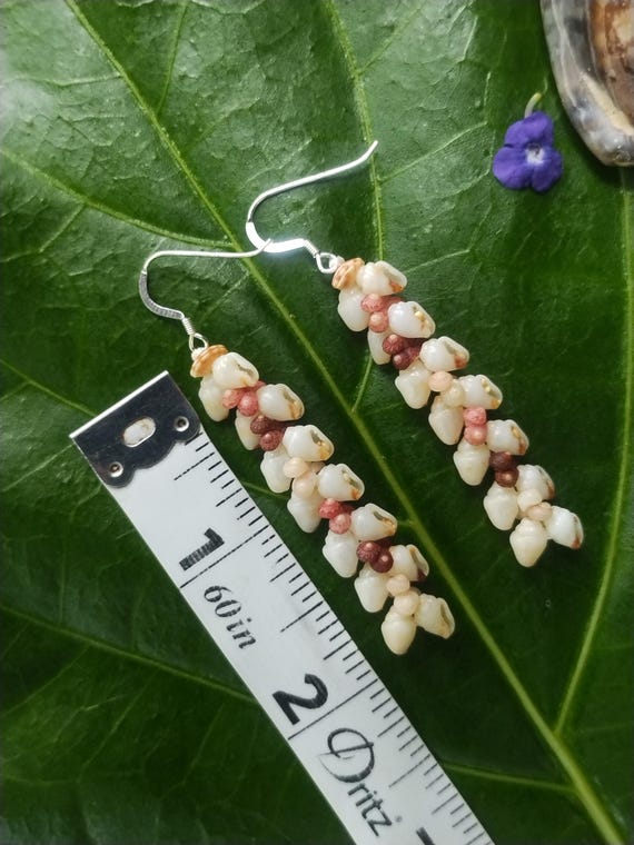 Shell Earrings Kauai Momi Shell Earrings Hawaiian Shell Earrings Rare Shells Momi Kahelelani Shells Kauai Kahelelani Shells Kauai Shells