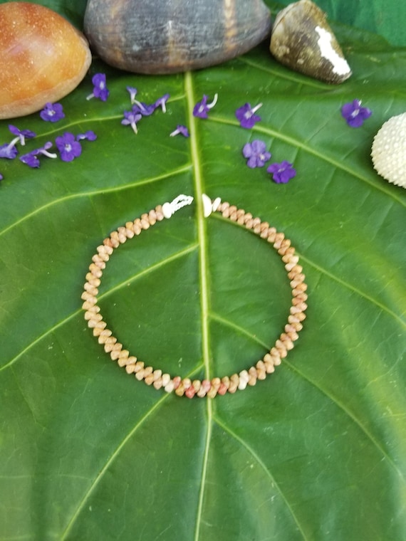 Kahelelani shell Bracelet Sea Shell Bracelet Kauai Shell Jewelry Eco Friendly Natural Shell Bracelet Kauai Kahelelani Shells Hawaiian Shells