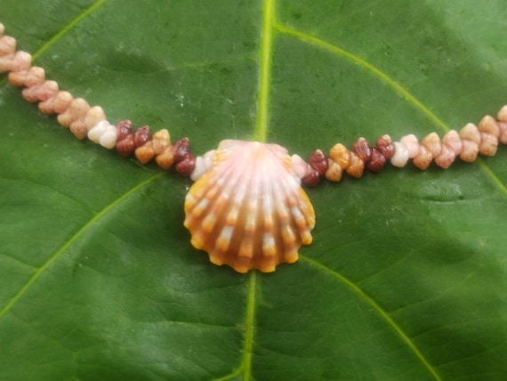 Sunrise Shell Lei: Kauai Kahelelani Shells, Sunrise Shell, Puka Shells, Hawaii Shells Beach Jewelry, Eco-Friendly Collected Rare Shells