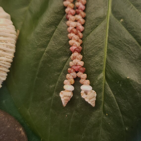 Shell Earrings Kahelelani Shell Earrings Hawaiian Tiny Triton Shells Kauai Eco Friendly Collected Shells Purple Gyre Triton Shells RareShell