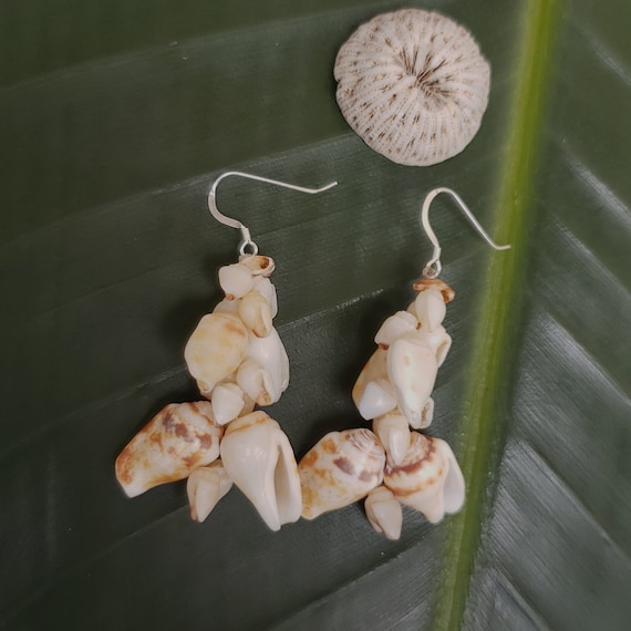 Momi Shell Earrings Alilea Shell Earrings Hawaii Shell Earring Momi Shells Kahelelani Shells Kauai Beach Shell Hawaii Shell Niihau Shell
