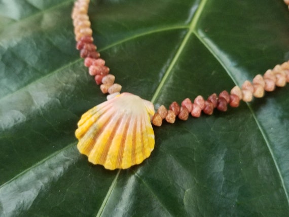 Sunrise Shell Anklet Puka Shells Beach Anklet Natural Shell Jewelry Hawaiian Jewelry Kauai Kahelelani Shell Jewelry Niihau Shell Jewelry