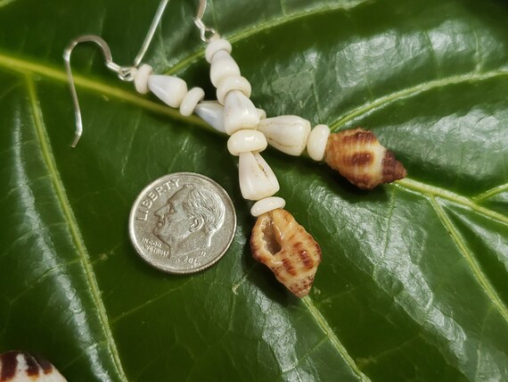 Drupe Shell Earrings Puka Shell Earrings Hawaiian Shell Jewelry Kauai Shells Eco Friendly Collected Shells Island Jewelry Rare Shells