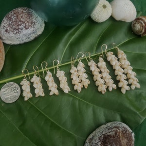 Shell Earrings Kauai Shell Earrings Hawaii Shell Earring Momi Shell Kahelelani Shell Kauai Shell Hawaiian Shell Niihau Earrings Niihau Shell image 7