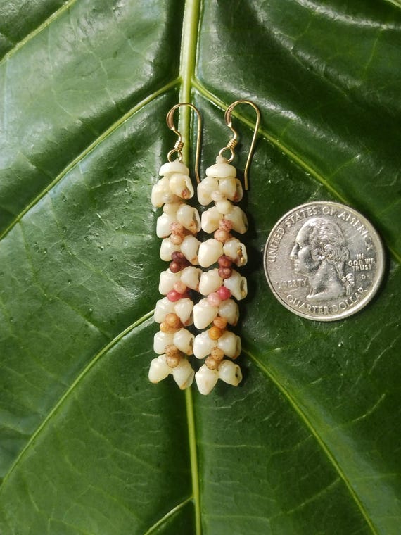 Shell Earrings Kauai Shell Earrings Hawaiian Shell Earring Traditional Weave Momi Shells Kahelelani Shells Kauai Beach Shell Hawaiian Shells