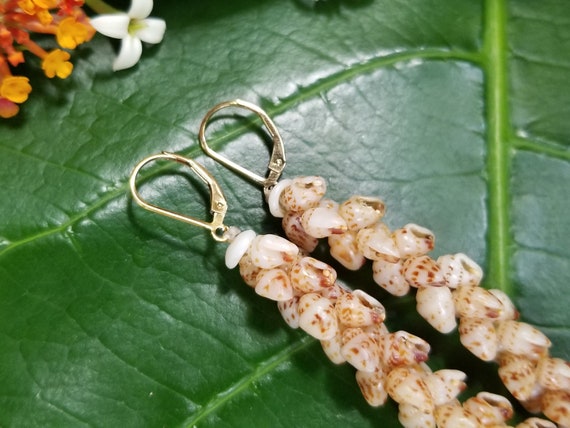 Shell Earrings Kauai Kahelelani Shell Earrings Hawaiian Momi Shell Earrings Momi Shells Kahelelani Shells Kauai Momi Shells Niihau Shell