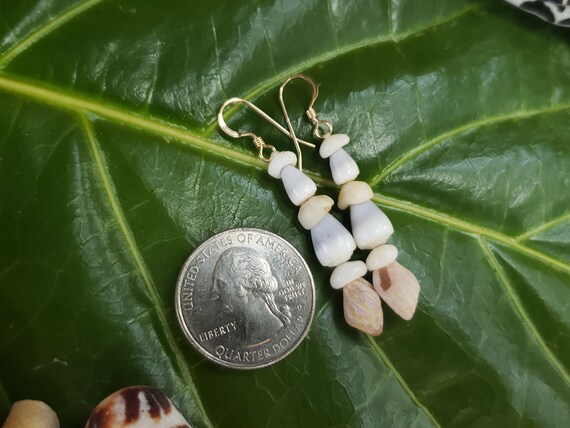 Shell Earrings SeaShell Earrings - Hawaii Shell Jewelry - Kauai Jewelry - Eco Friendly Collected Kauai Shells Island Jewelry Puka Shells