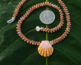 Sunrise Shell Lei: Kauai Kahelelani Shells, Sunrise Shell, Puka Shells, Hawaii Shells Beach Jewelry, Eco-Friendly Collected Rare Shells