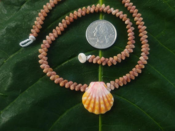 Sunrise Shell Lei: Kauai Kahelelani Shells, Sunrise Shell, Puka Shells, Hawaii Shells Beach Jewelry, Eco-Friendly Collected Rare Shells