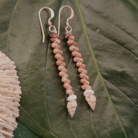 Shell Earrings Kahelelani Shell Earrings Hawaiian Tiny Triton Shells Kauai Eco Friendly Collected Shells Purple Gyre Triton Shells RareShell