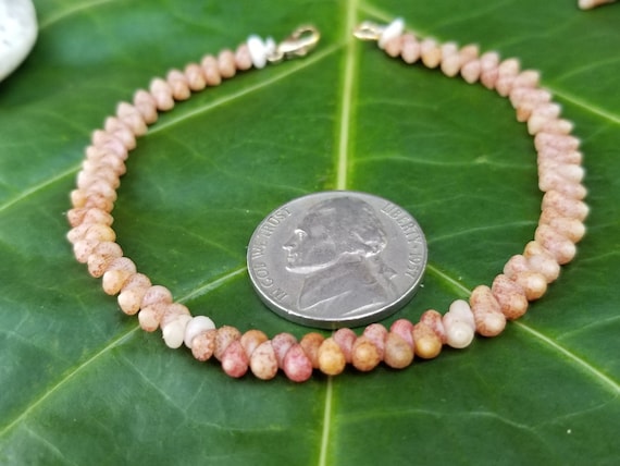Kahelelani shell Bracelet Sea Shell Bracelet Kauai Shell Jewelry Eco Friendly Natural Shell Bracelet Kauai Kahelelani Shells Hawaiian Shells