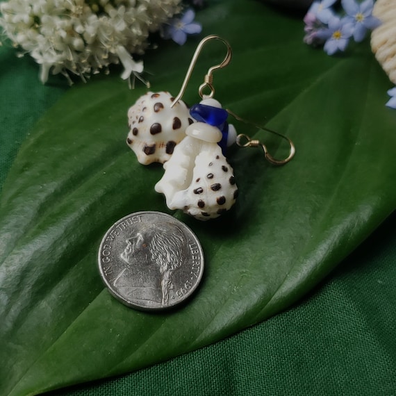 Shell Earrings Puka Shell Earrings Hawaiian Shell Jewelry Kauai Shells Eco Friendly Collected Shells Kauai Shells Seaglass Earrings Seaglass