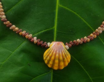 Sunrise Shell Lei: Kauai Kahelelani Shells, Sunrise Shell, Puka Shells, Hawaii Shells Beach Jewelry, Eco-Friendly Collected Rare Shells