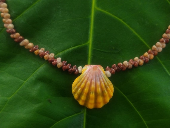 Sunrise Shell Lei: Kauai Kahelelani Shells, Sunrise Shell, Puka Shells, Hawaii Shells Beach Jewelry, Eco-Friendly Collected Rare Shells
