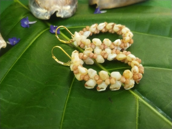 Shell Earrings Kauai Momi Shell Hoop Earrings Hawaiian Shell Earrings Kahelelani Shells Kauai Shells Kauai Wedding Gift Rare Shell Jewelry
