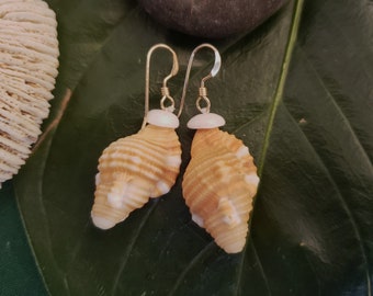 Triton Shell Earrings Hawaiian Triton Shell Eco Friendly Collected Shell Beu's Triton Shells Jewelry Puka Shell Jewelry Triton Shell Earring