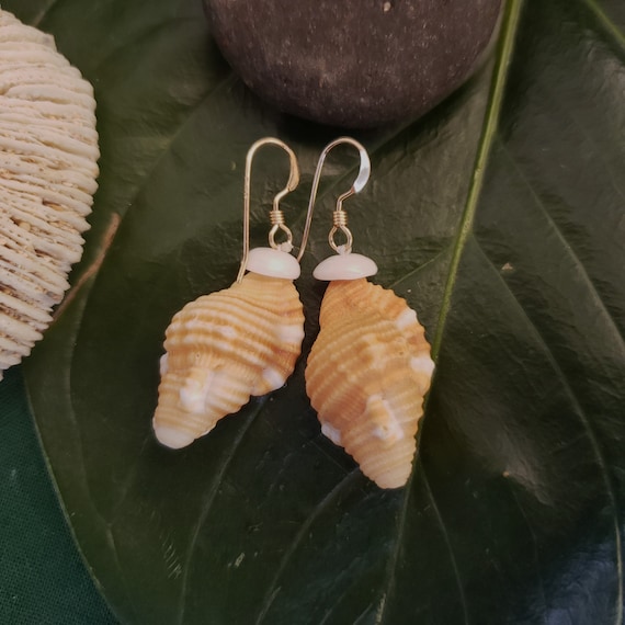 Triton Shell Earrings Hawaiian Triton Shell Eco Friendly Collected Shell Beu's Triton Shells Jewelry Puka Shell Jewelry Triton Shell Earring