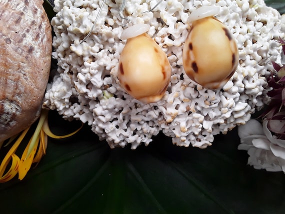 Shell Earrings Cowrie Shell Earrings Puka Shell Earrings Shells Authentic Kauai Shell Jewelry Hawaiian Seashell Earrings Checkered Cowrie