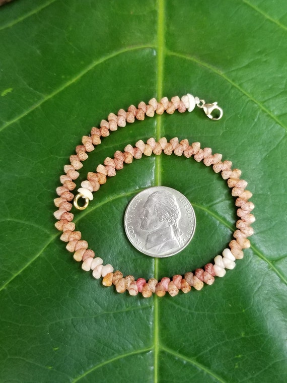 Kahelelani Shell Anklet: Kauai Kahelelani Shells, Puka Shells, 50lb Nylon String, 14kt Gold Filled Clasp, Shell Jewelry, Shell Anklet