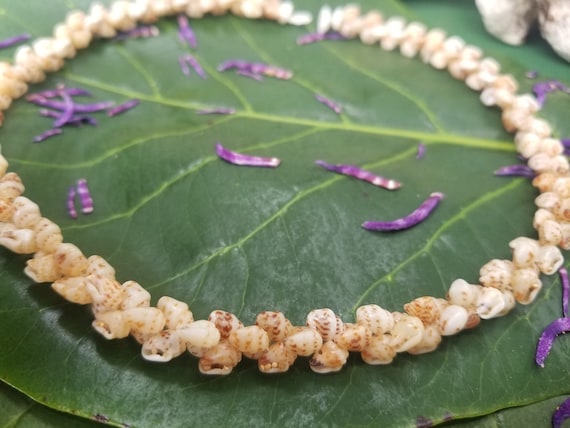 Shell Necklace Kauai Momi Shell Lei Momi Necklace Rare Momi Shell Necklace Traditional Hawaiian Jewelry Art Jewelry Momi Shell Lei
