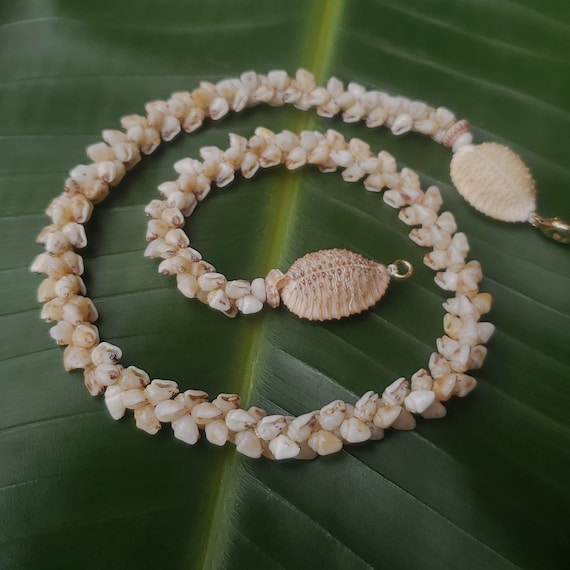 Shell Necklace Kauai Momi Shell Lei Momi Necklace Rare Momi Shell Necklace Traditional Hawaiian Jewelry Art Jewelry Momi Shell Lei
