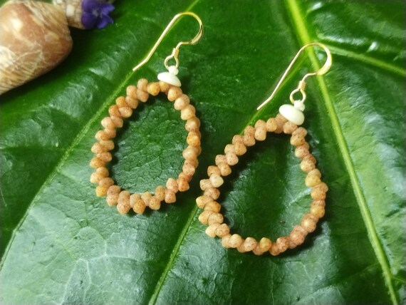 Seashell Earrings Kauai Kahelelani Earrings Hoop Earrings Authentic Kauai Kahalelani Shells Jewelry Hoop Earrings Kahelelani Niihau Shell
