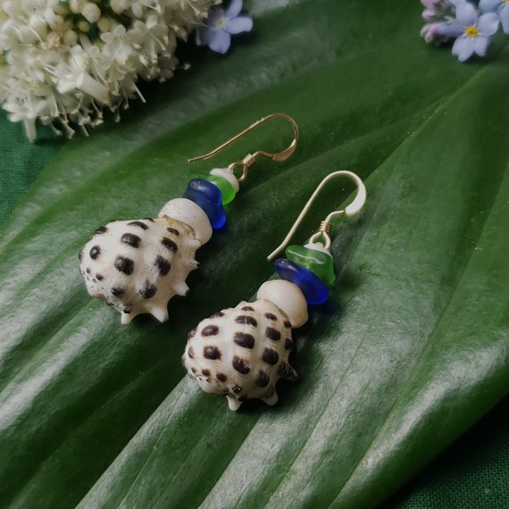 Shell Earrings Puka Shell Earrings Hawaiian Shell Jewelry Kauai Shells Eco Friendly Collected Shells Kauai Shells Seaglass Earrings Seaglass