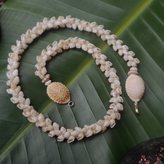 Shell Necklace Kauai Momi Shell Lei Momi Necklace Rare Momi Shell Necklace Traditional Hawaiian Jewelry Art Jewelry Momi Shell Lei