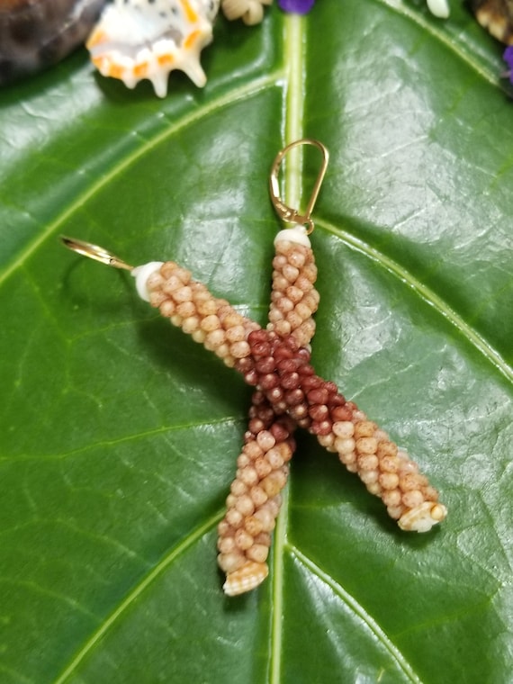Shell Earrings Kahelelani Shell Earrings Hawaiian Shell Jewelry Kauai Eco Friendly Collected Kauai Shells Island Jewelry Beach Earrings