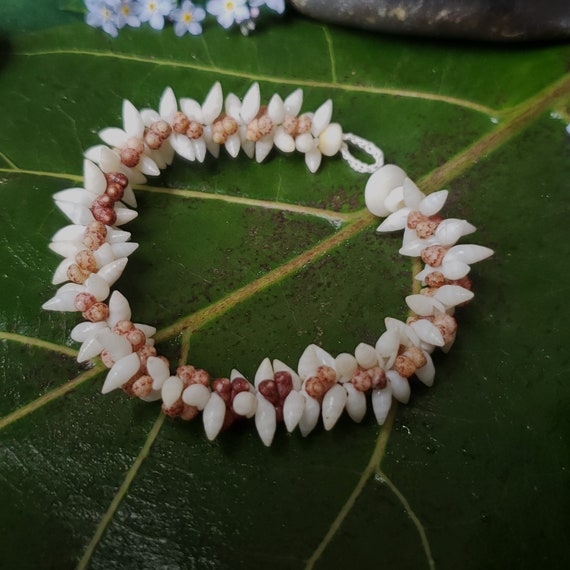 Shell Bracelet Heleconia Kahelelani Shell Bracelet Traditional Hawaiian Shell Jewelry Eco-Friendly Collected Kauai Kahelelani Shells Aloha