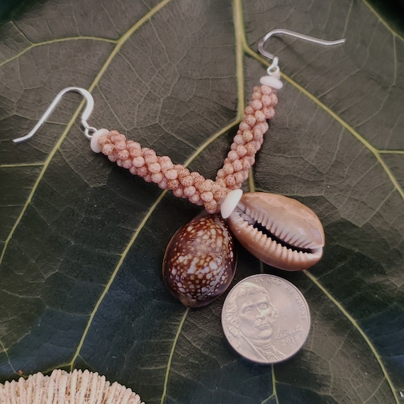 Hawaiian Cowrie Shell Earrings Kauai Kahelelani Shell Earrings Eco Friendly Island Earrings Authentic Kauai Kahelelani Shells Rare Shells