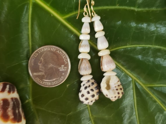 Shell Earrings Puka Shell Earrings Hawaii Shell Jewelry Kauai Shells Eco Friendly Collected Shells Kauai Shells Island Jewelry Rare Shells