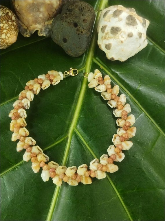 Momi Shell Bracelet Momi Kahelelani Shell Bracelet Hawaiian Shell Jewelry Kauai Eco-Friendly Collected Shells Kauai Shells Rare Shells Aloha